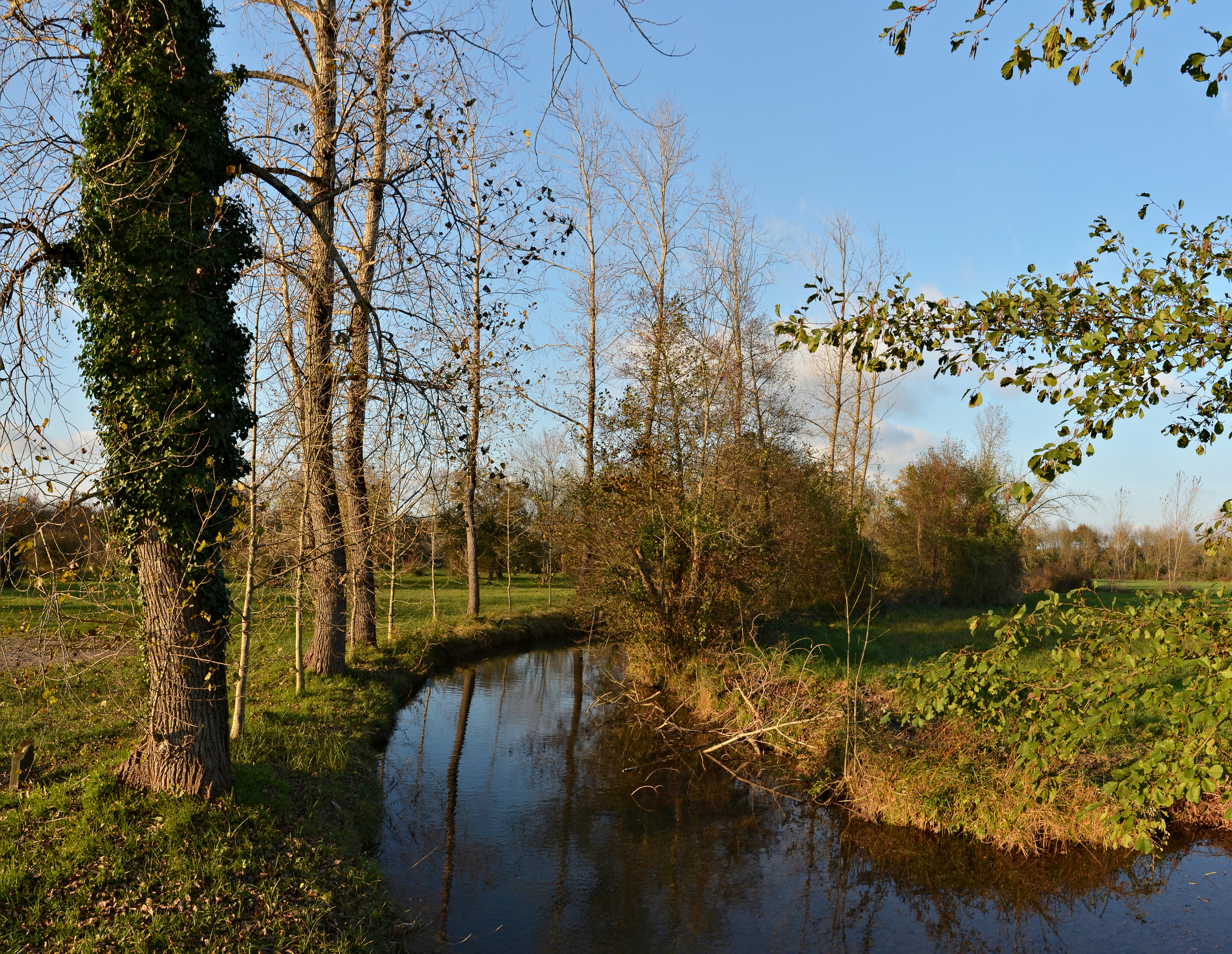 Vendoire Bras Lizonne site tourbières 2013