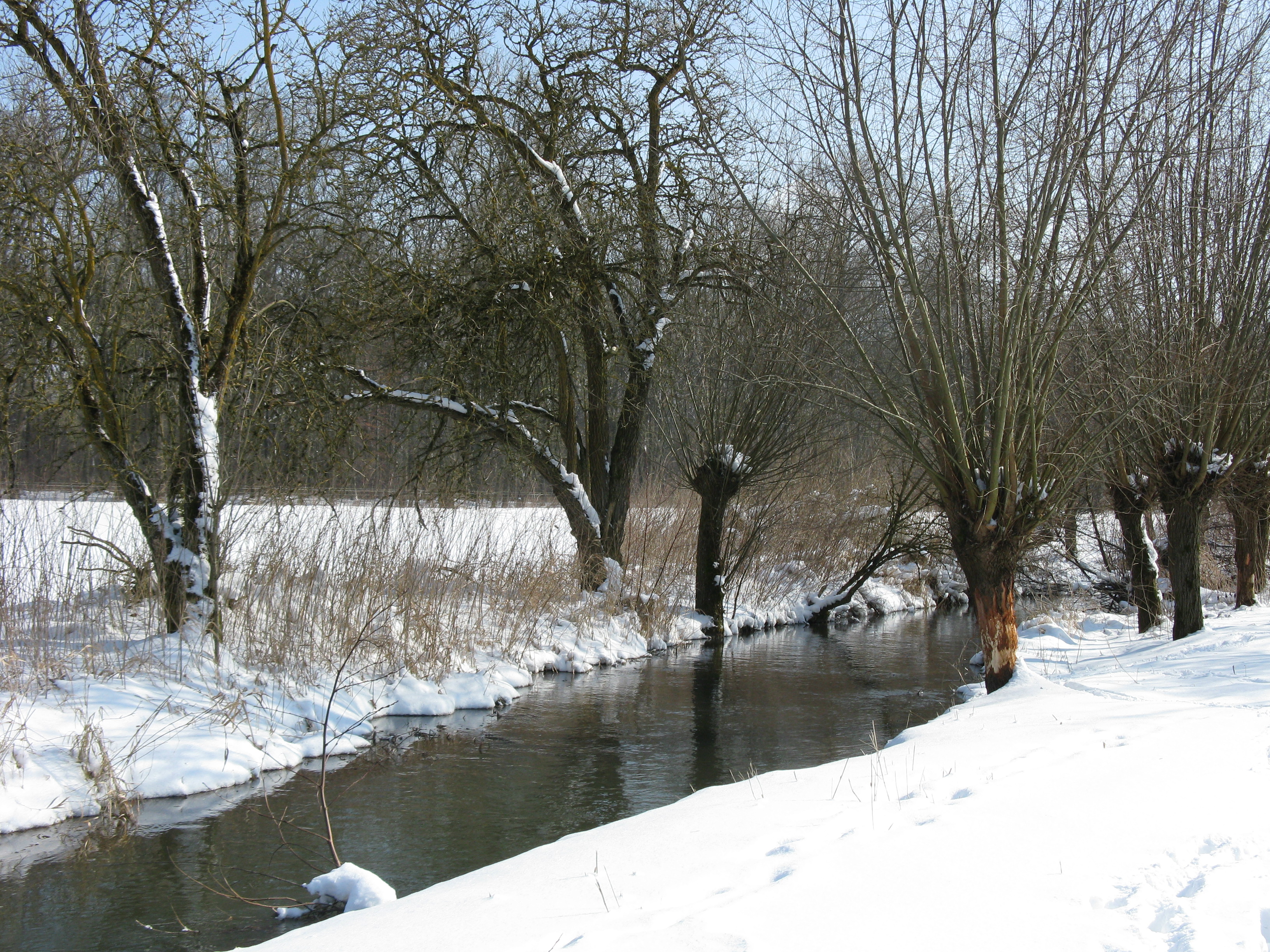 Wiblingen - die Weihung