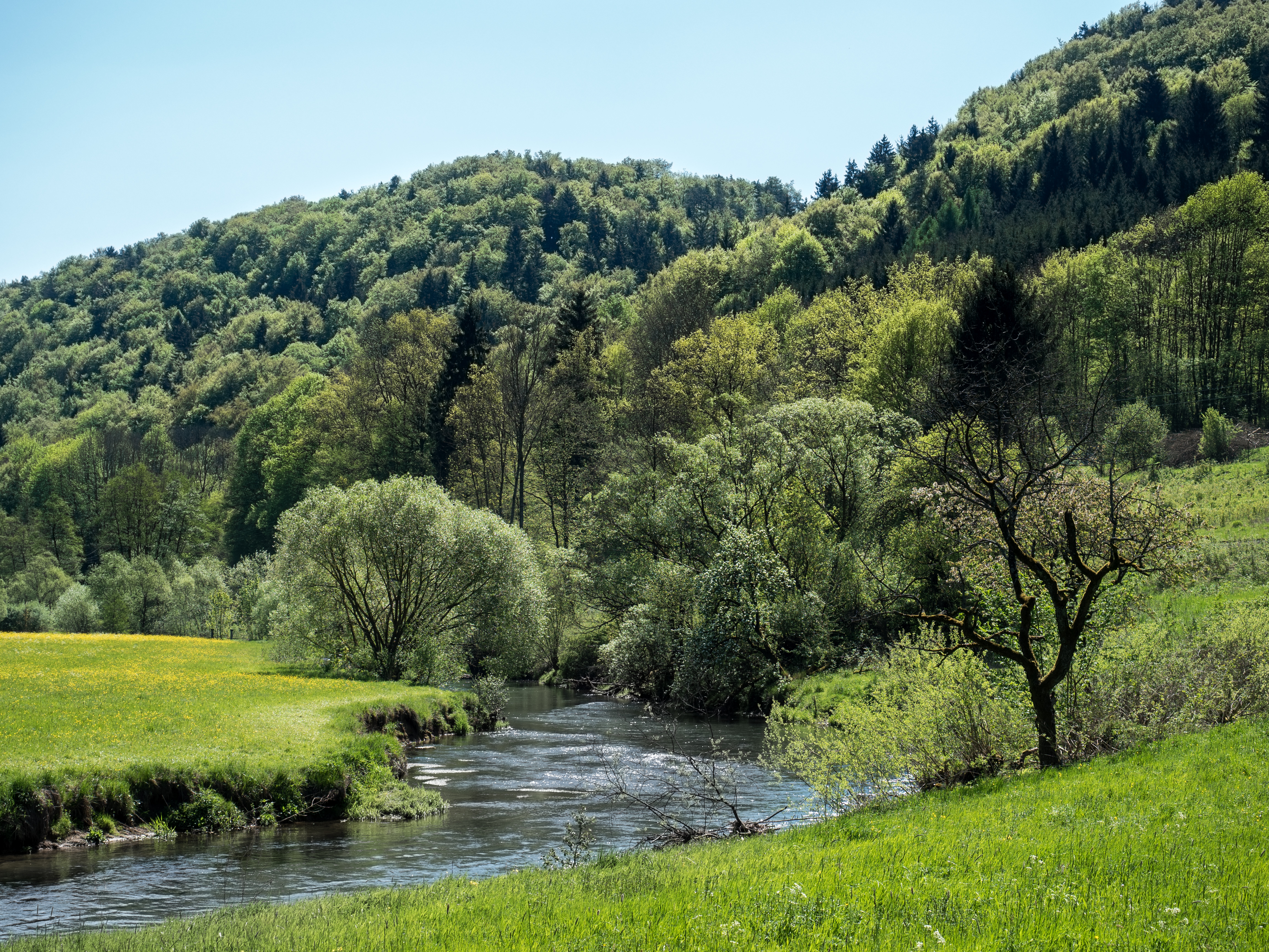 Wiesenttal-P5083470