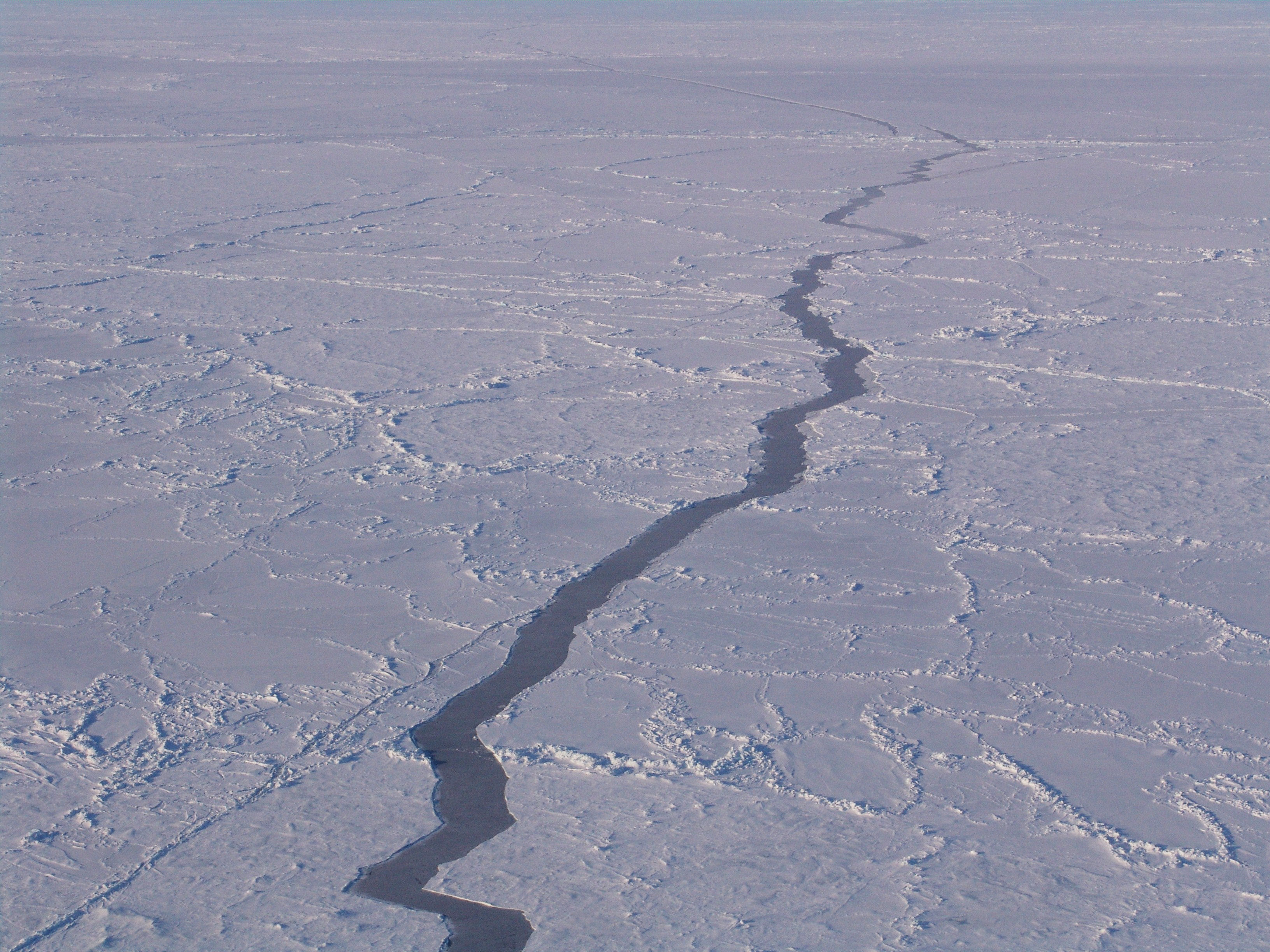 Arct0375 - Flickr - NOAA Photo Library