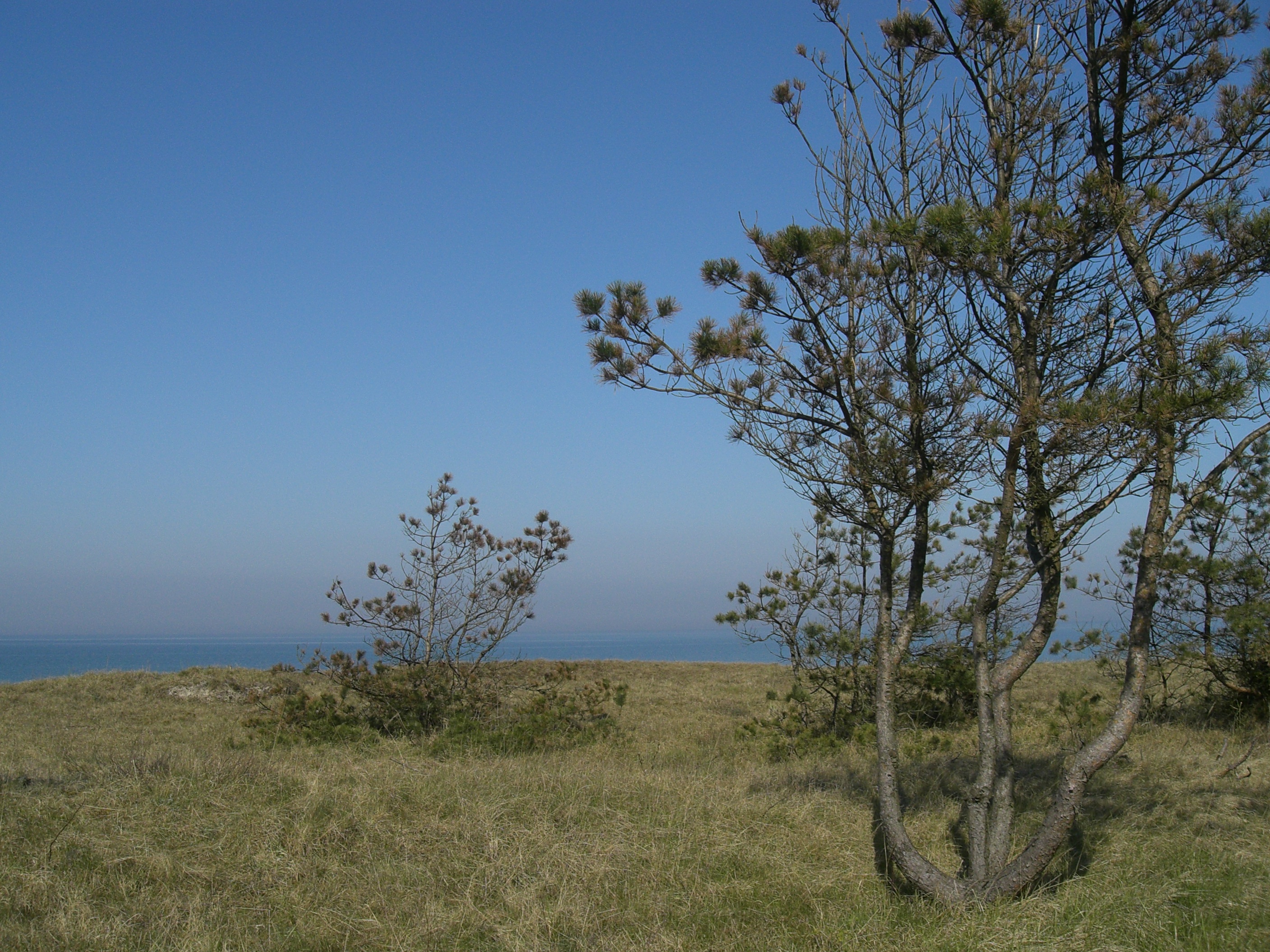 Baltic sea in Latvia(9)