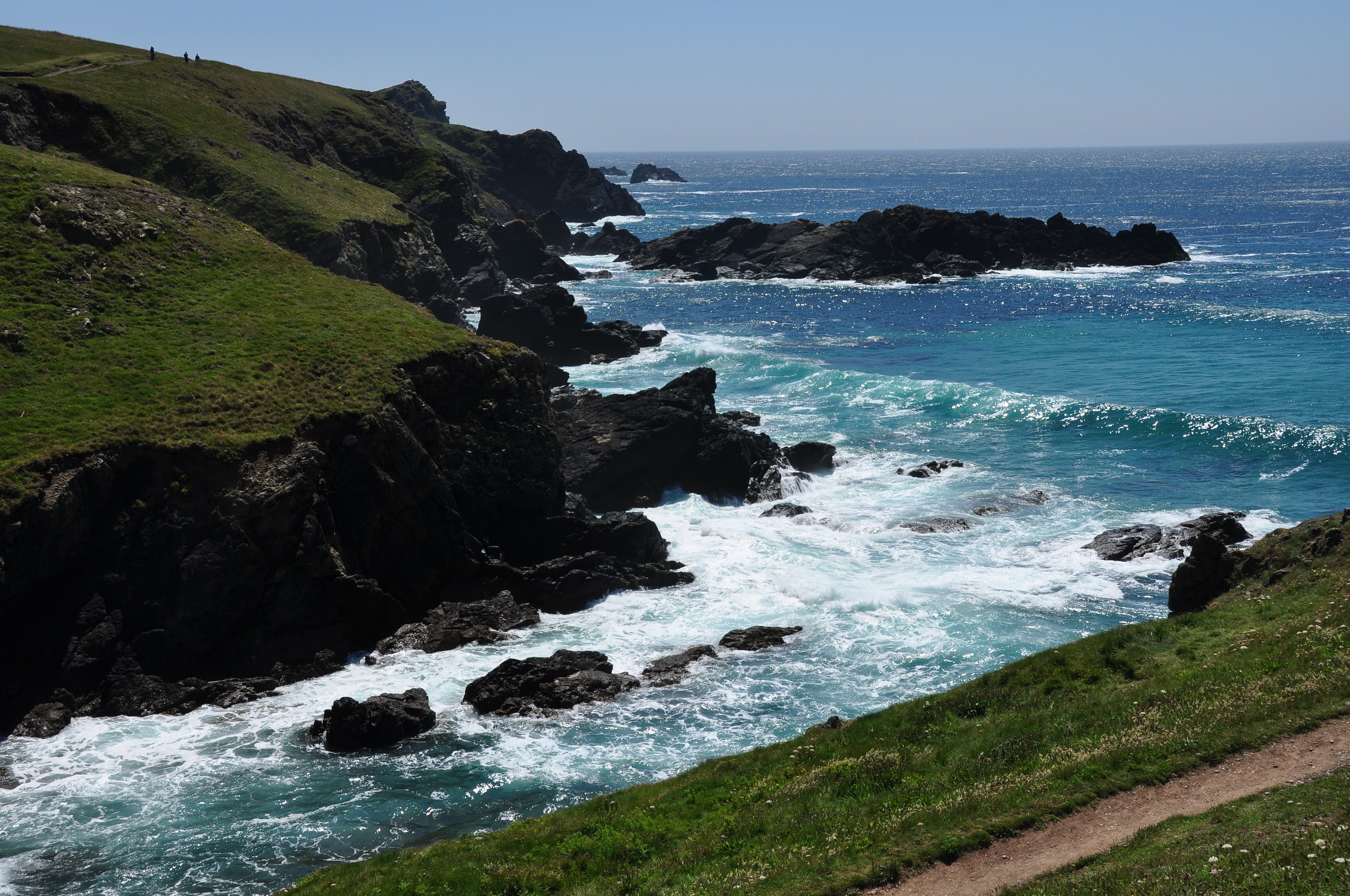 Caerthillian Cove and Crane Ledges (8126)