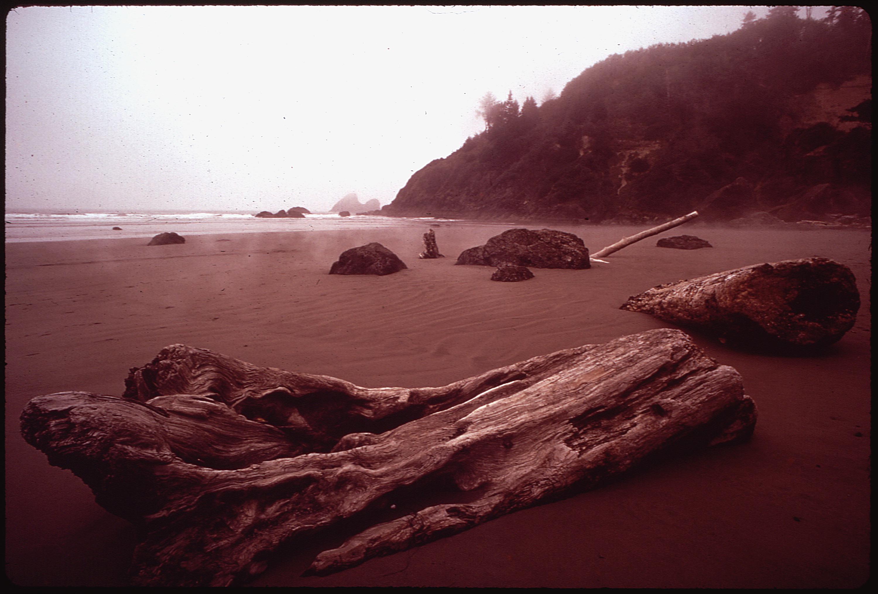 CALIFORNIA-MOONSTONE BEACH - NARA - 542886