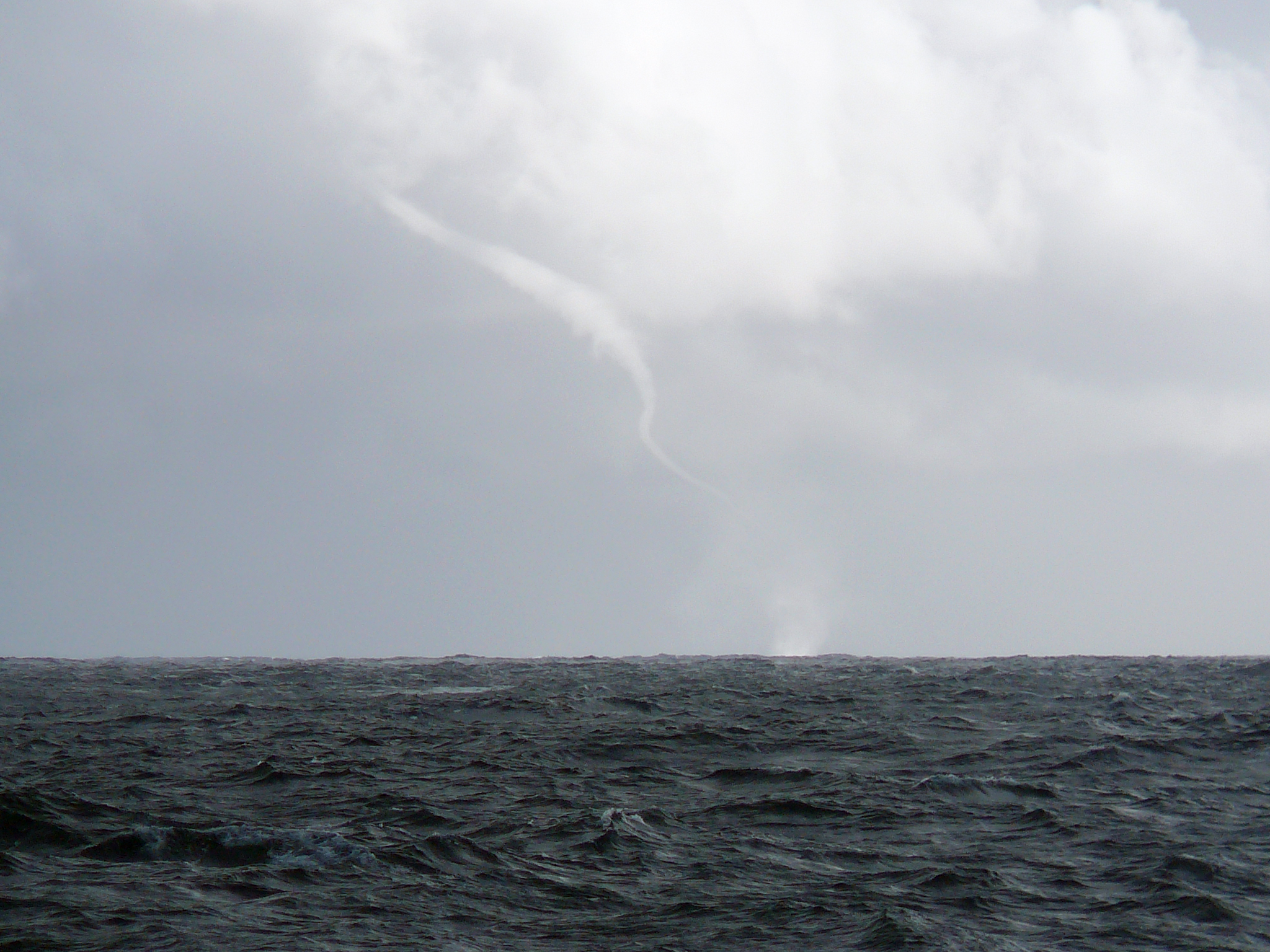 CSIRO ScienceImage 7783 A waterspout over the Tasman Sea