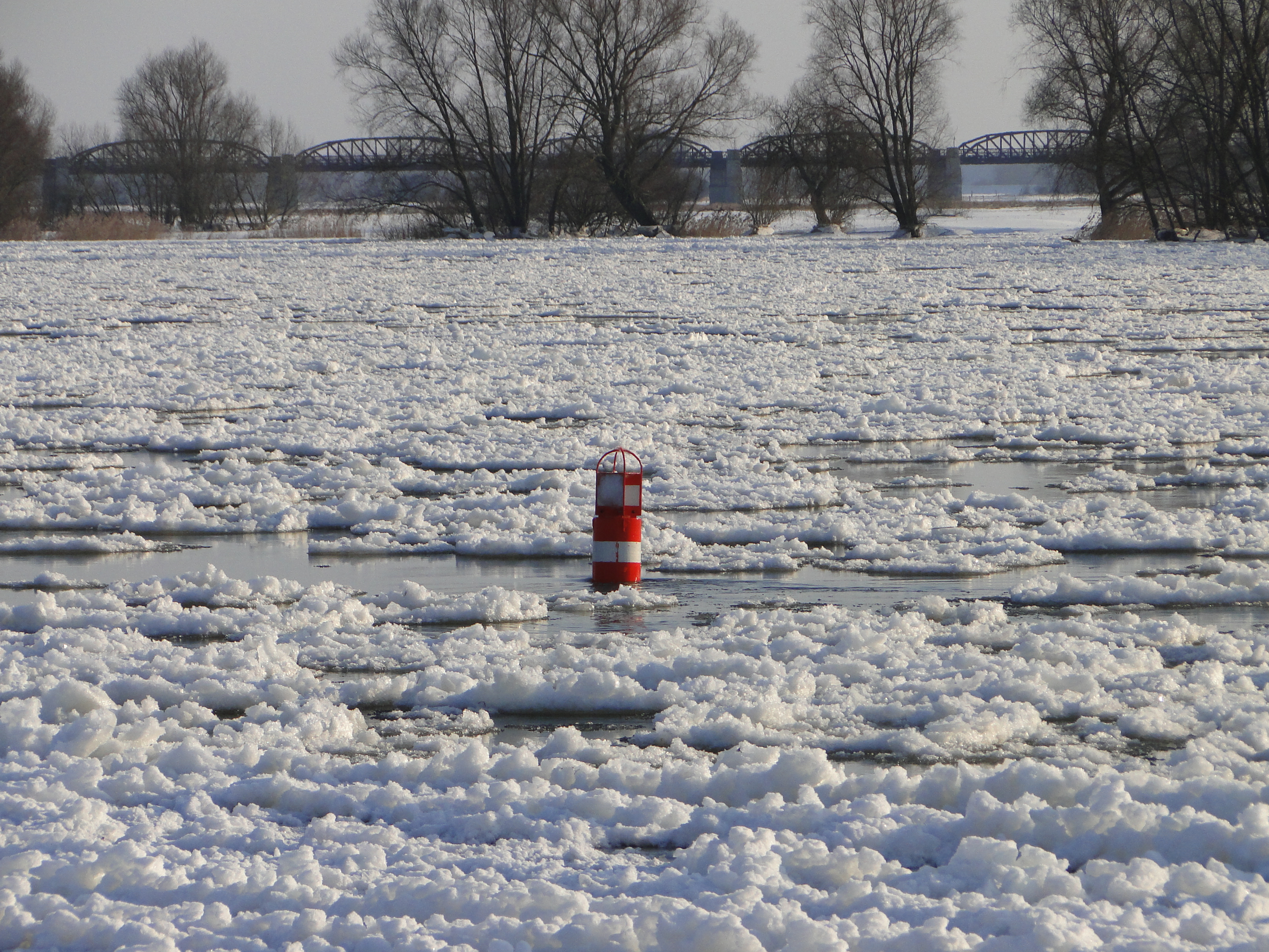 Dömitz Elbe Eisgang Boje Winter 2012-02-05 013