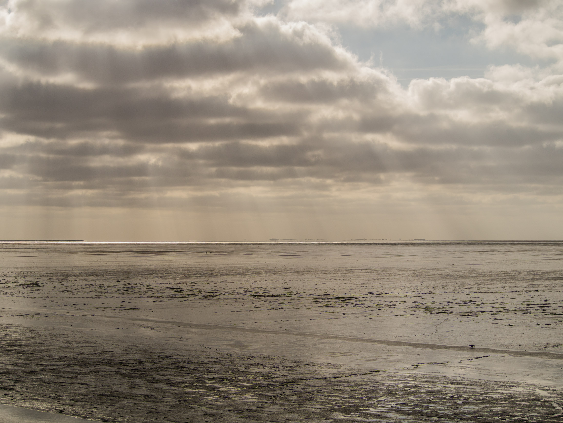 De Waddenzee