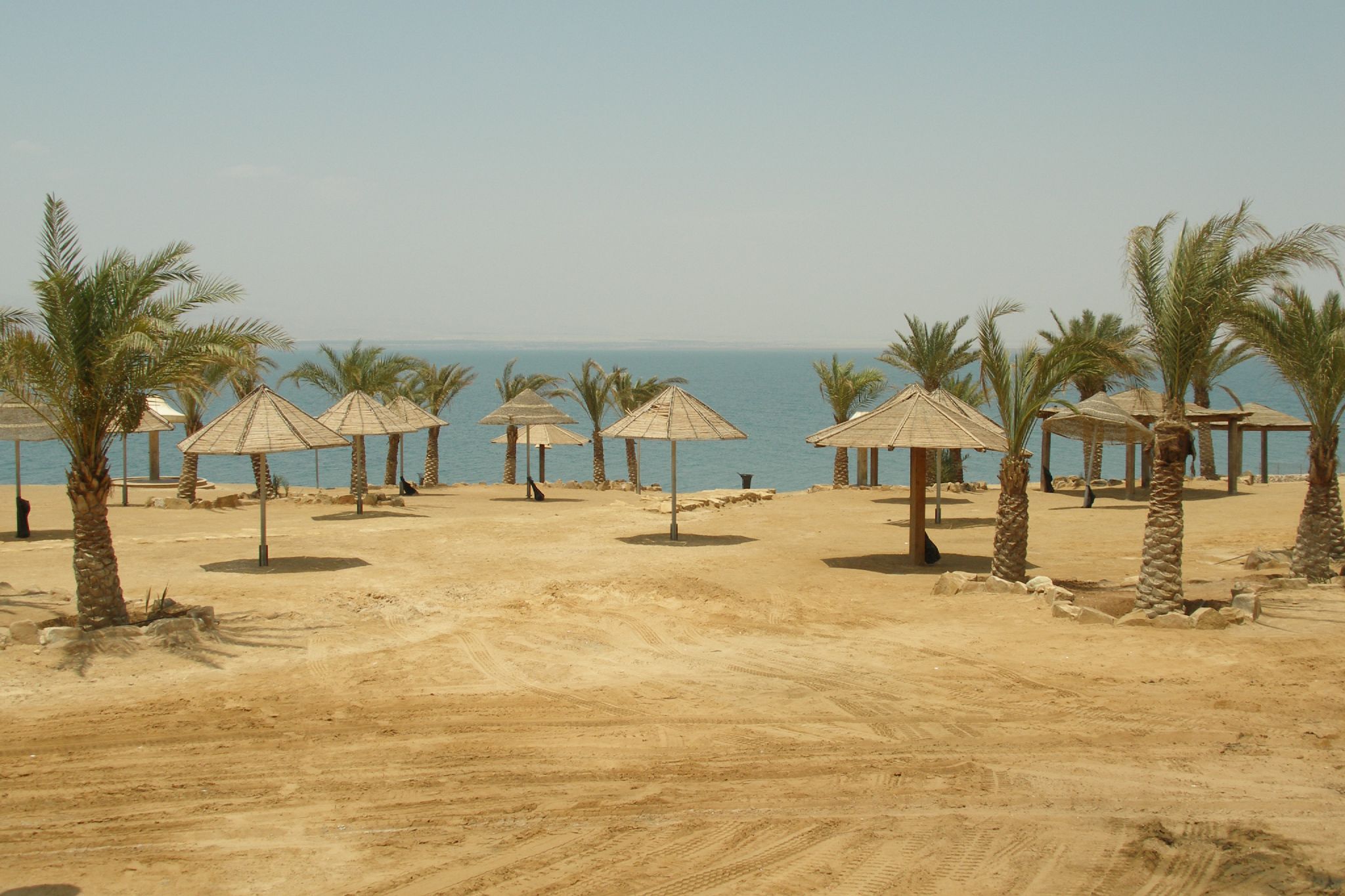 Dead Sea 41