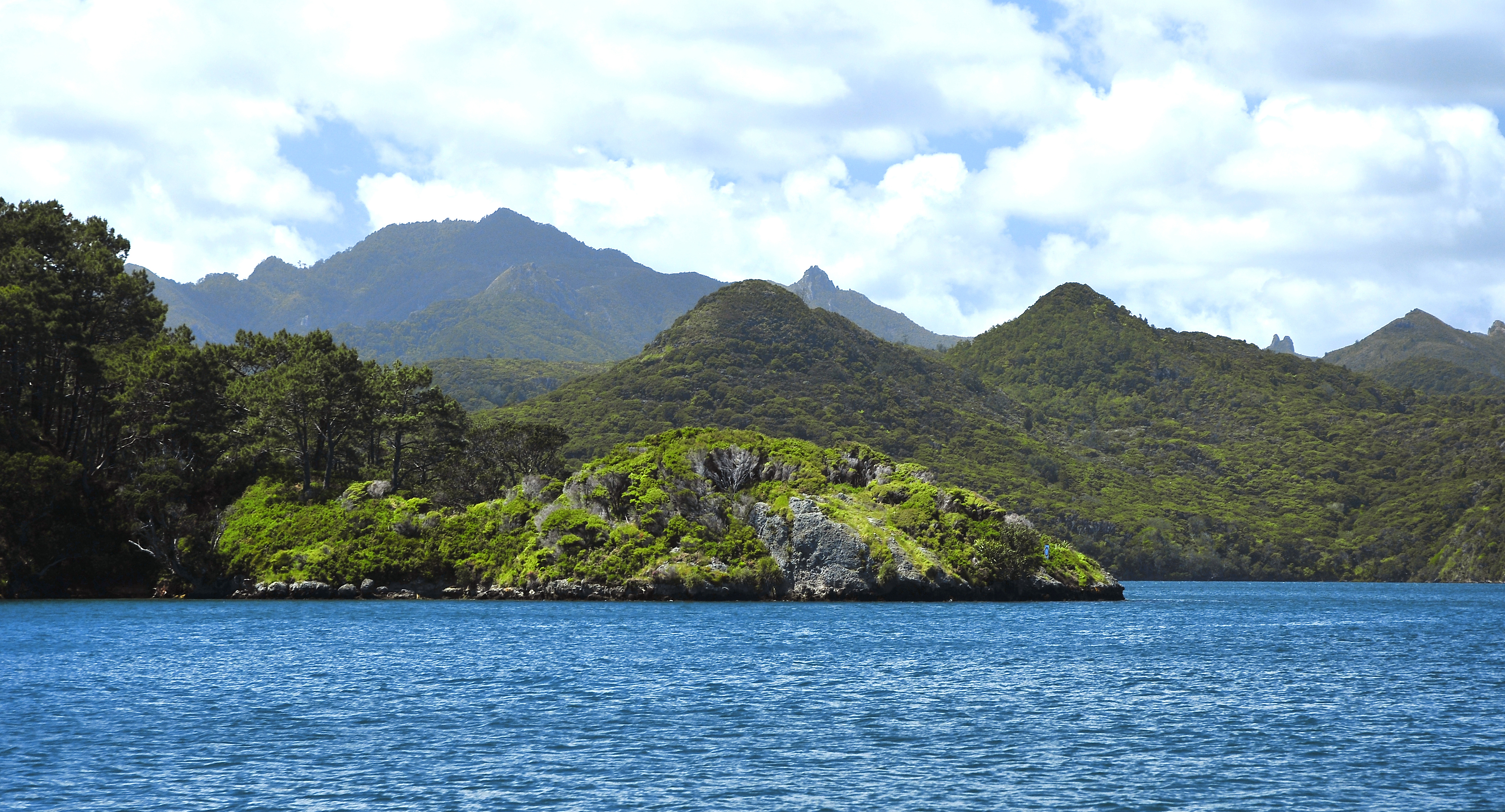 Isla Gran Barerra 11