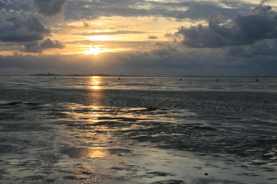 Abendstimmung im Nationalpark Niedersächsisches Wattenmeer bei Cuxhaven 23