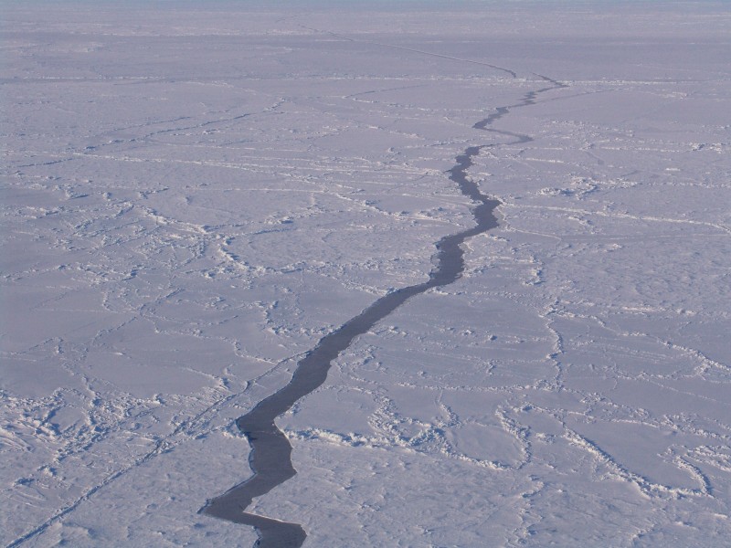 Arct0375 - Flickr - NOAA Photo Library