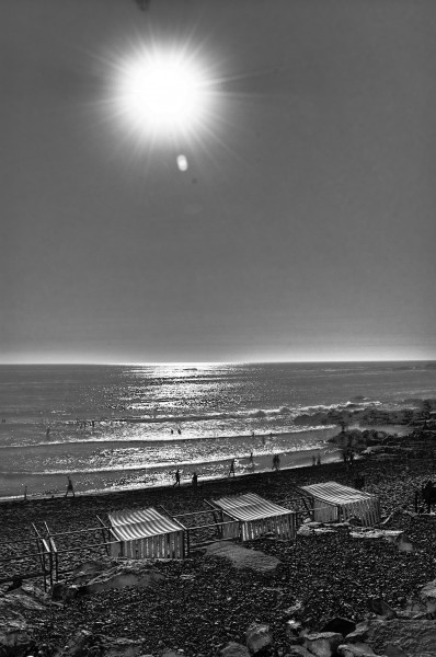 Beach dreams (954250765)