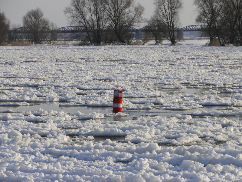 Dömitz Elbe Eisgang Boje Winter 2012-02-05 013