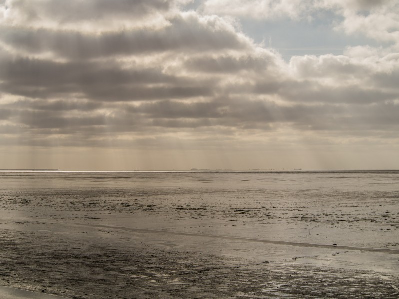 De Waddenzee