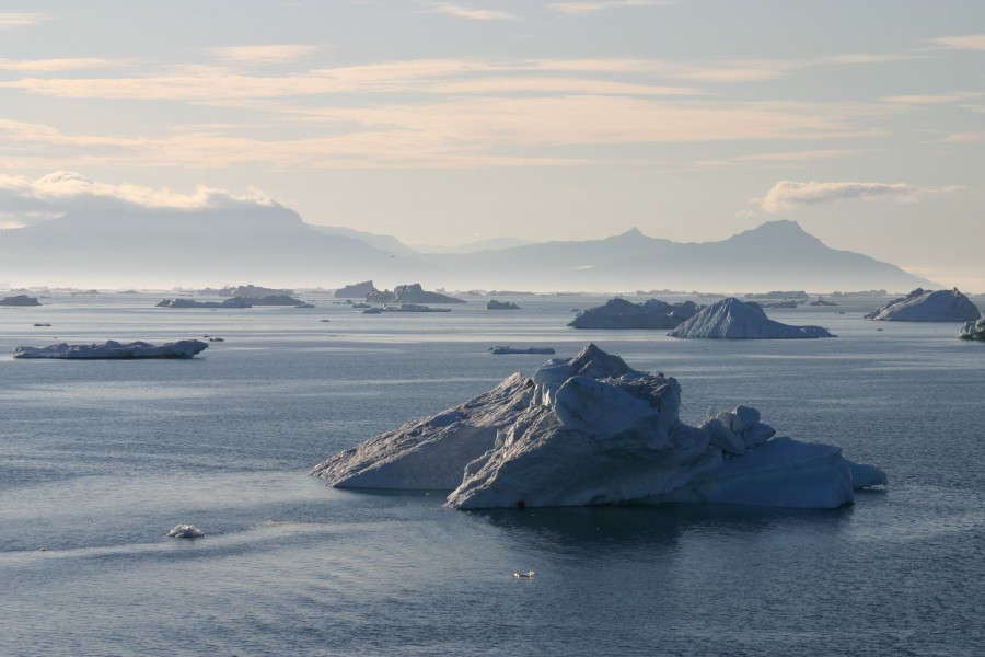 Eisberge vor Grönland (5)