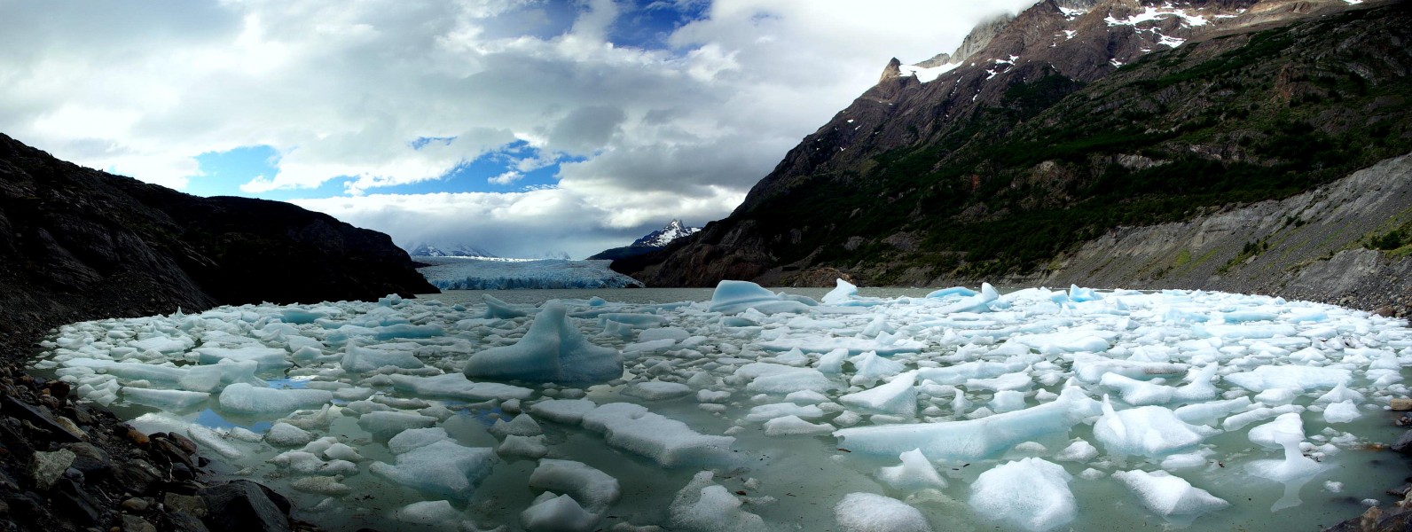 Grey Glacier icebergs Stevage