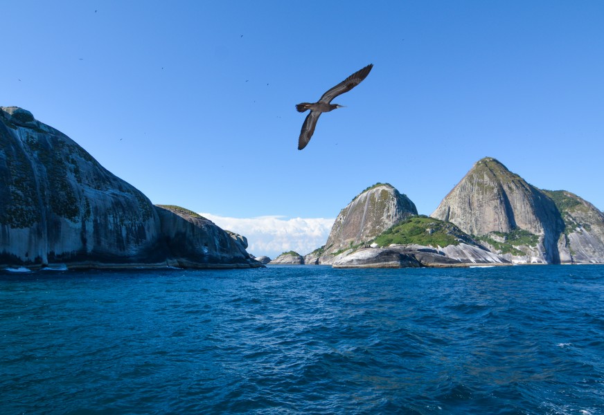Ilha de Alcatrazes