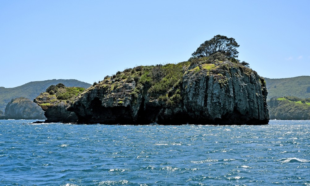 Isla Gran Barerra 03