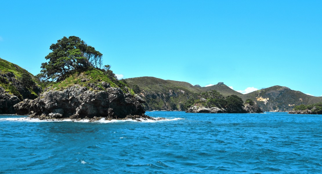 Isla Gran Barerra 09