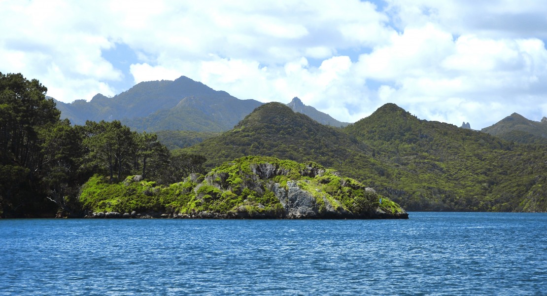 Isla Gran Barerra 11