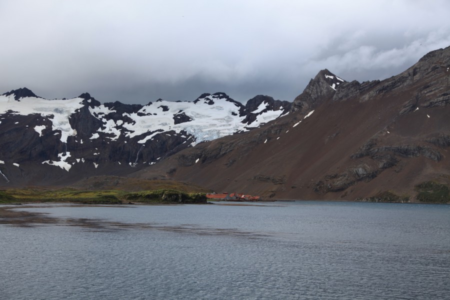 Leith Harbour Whaling Station (5717315707)