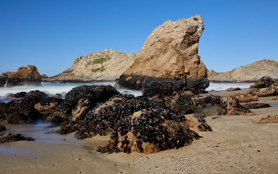 McClures Beach, Point Reyes National Seashore