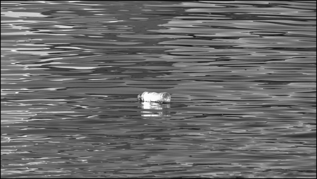 Message in a bottle ! (8020516404)