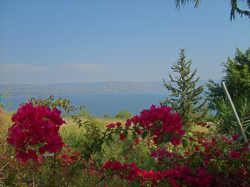 Mount of Beatitudes View Sea of Galilee Golan 200704
