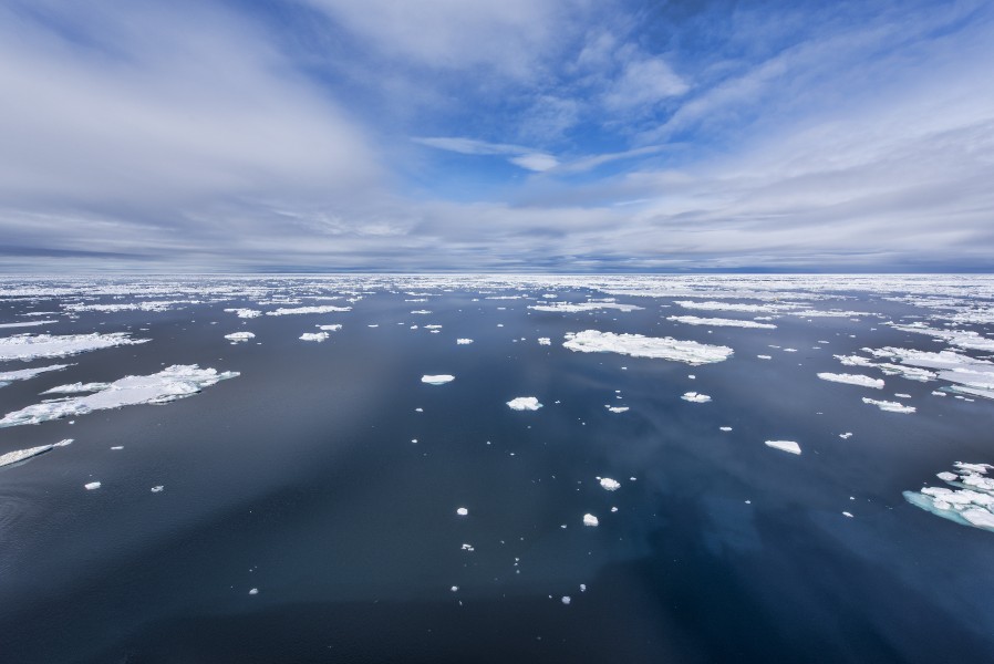Sea Ice (19433501120)
