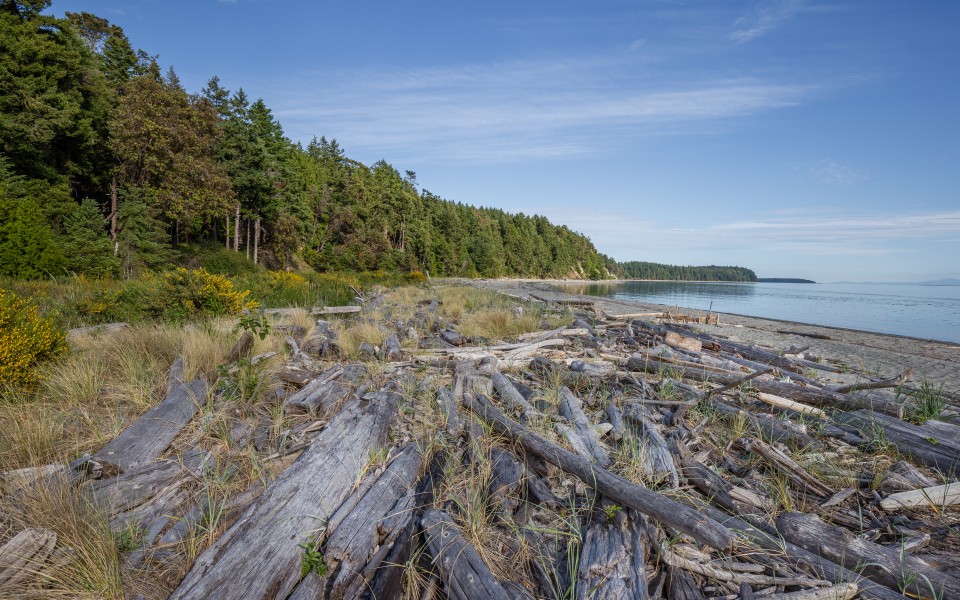 Sidney Spit (part of Gulf Islands National Park Reserve), Sidney Island, British Columbia, Canada 13