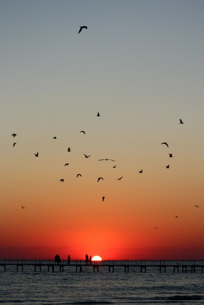 Sunset (4970133926)