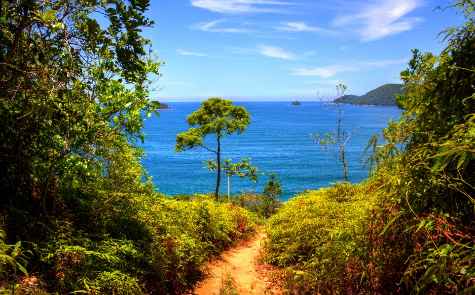 Visão do morro da Praia do Cedro - Ubatuba - São Paulo