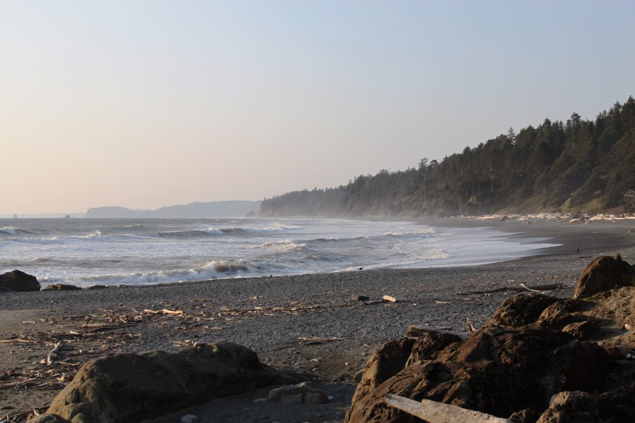 Washington Coast (5652656236) (2)