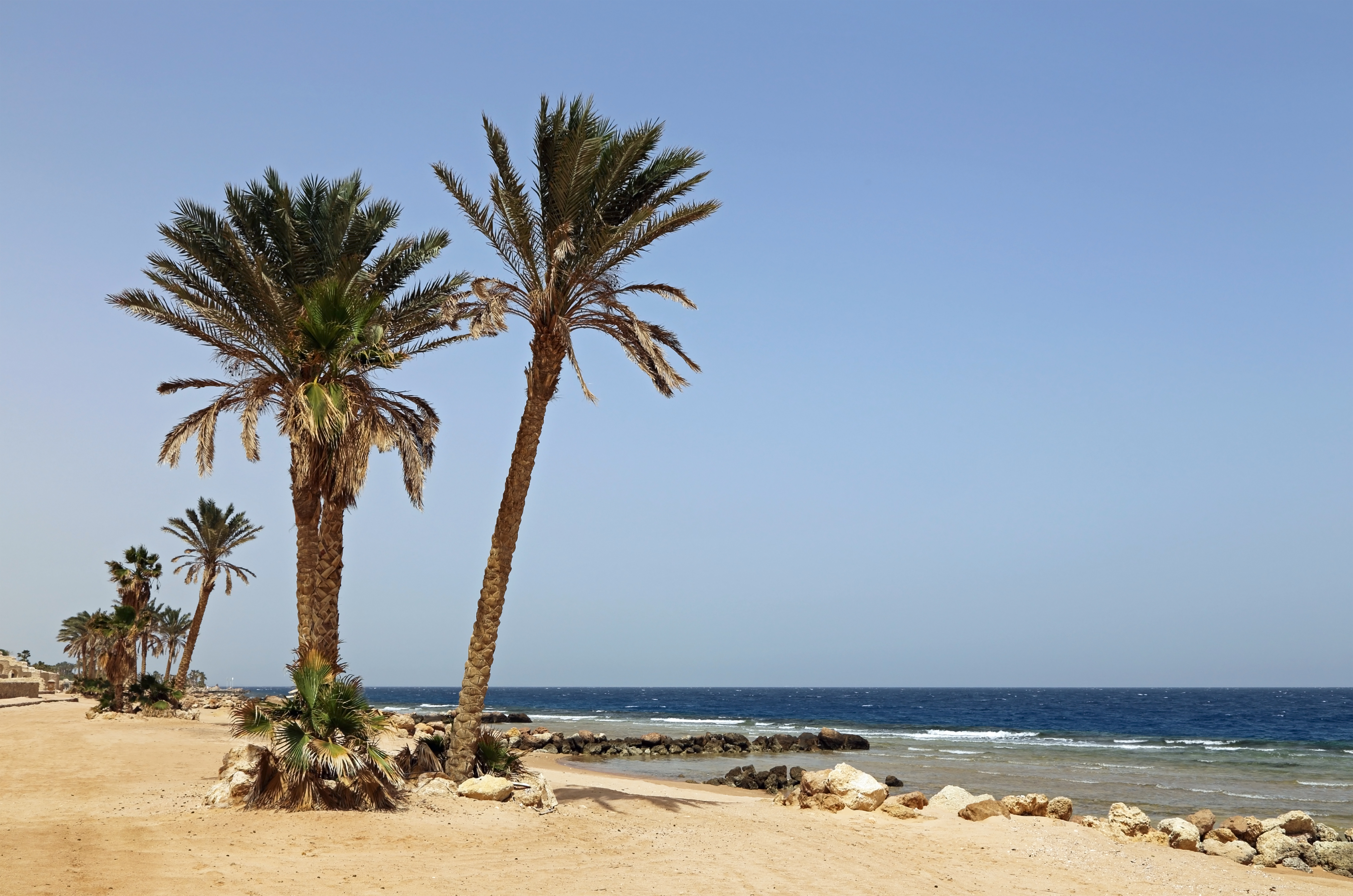 Red Sea Hurghada R03