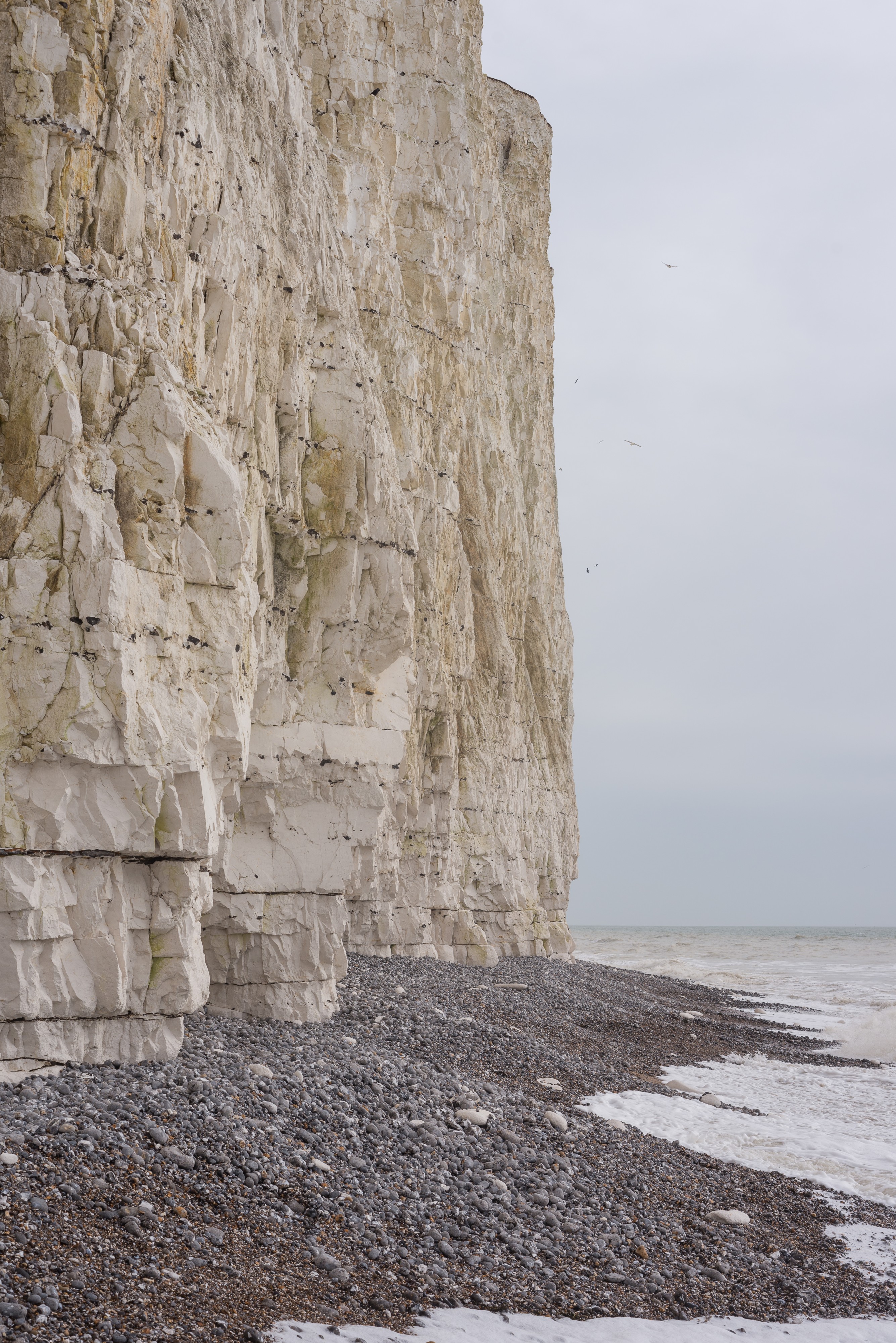 Birling Gap March 2017 07