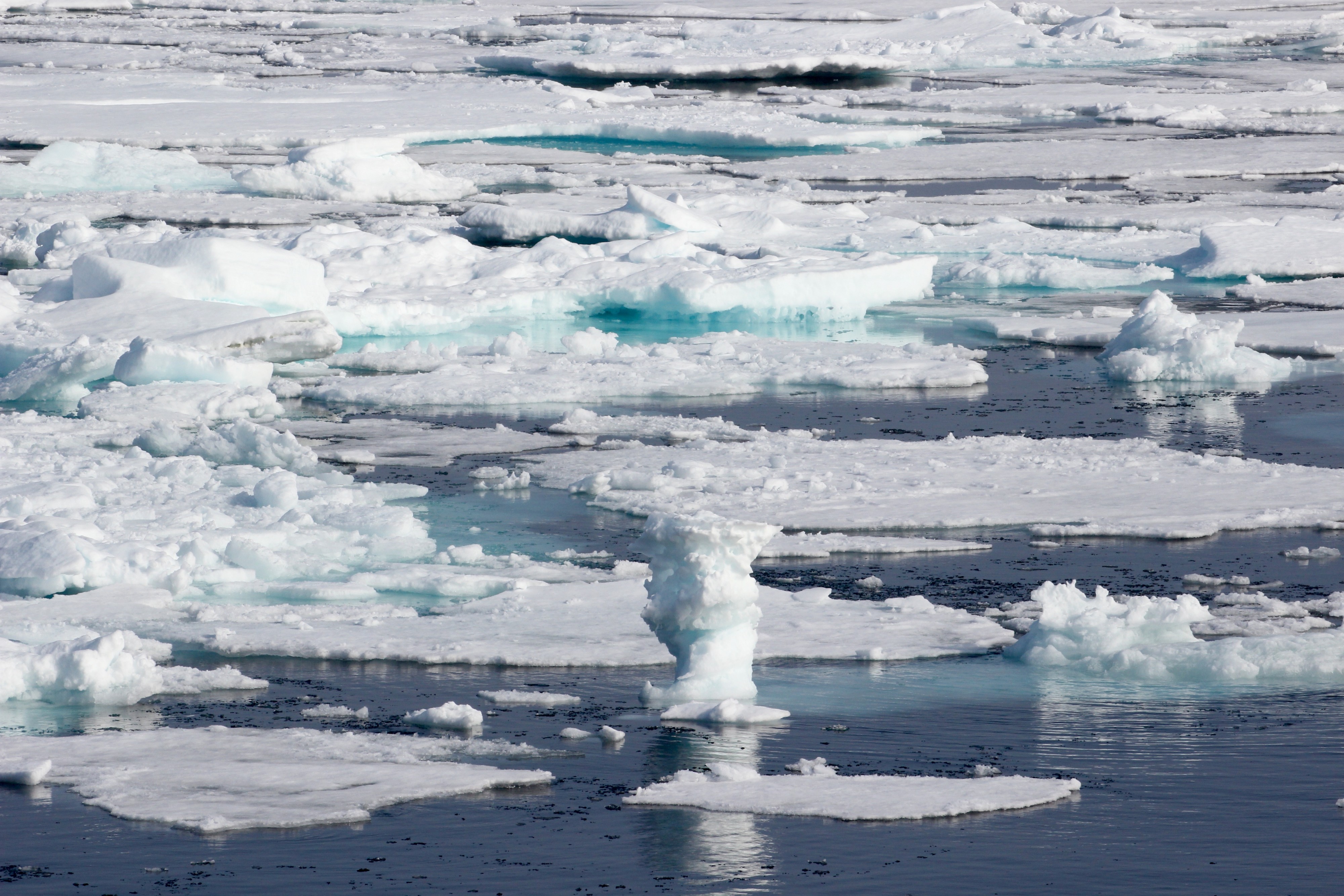 Ice Cruising in the Arctic (20284630265)