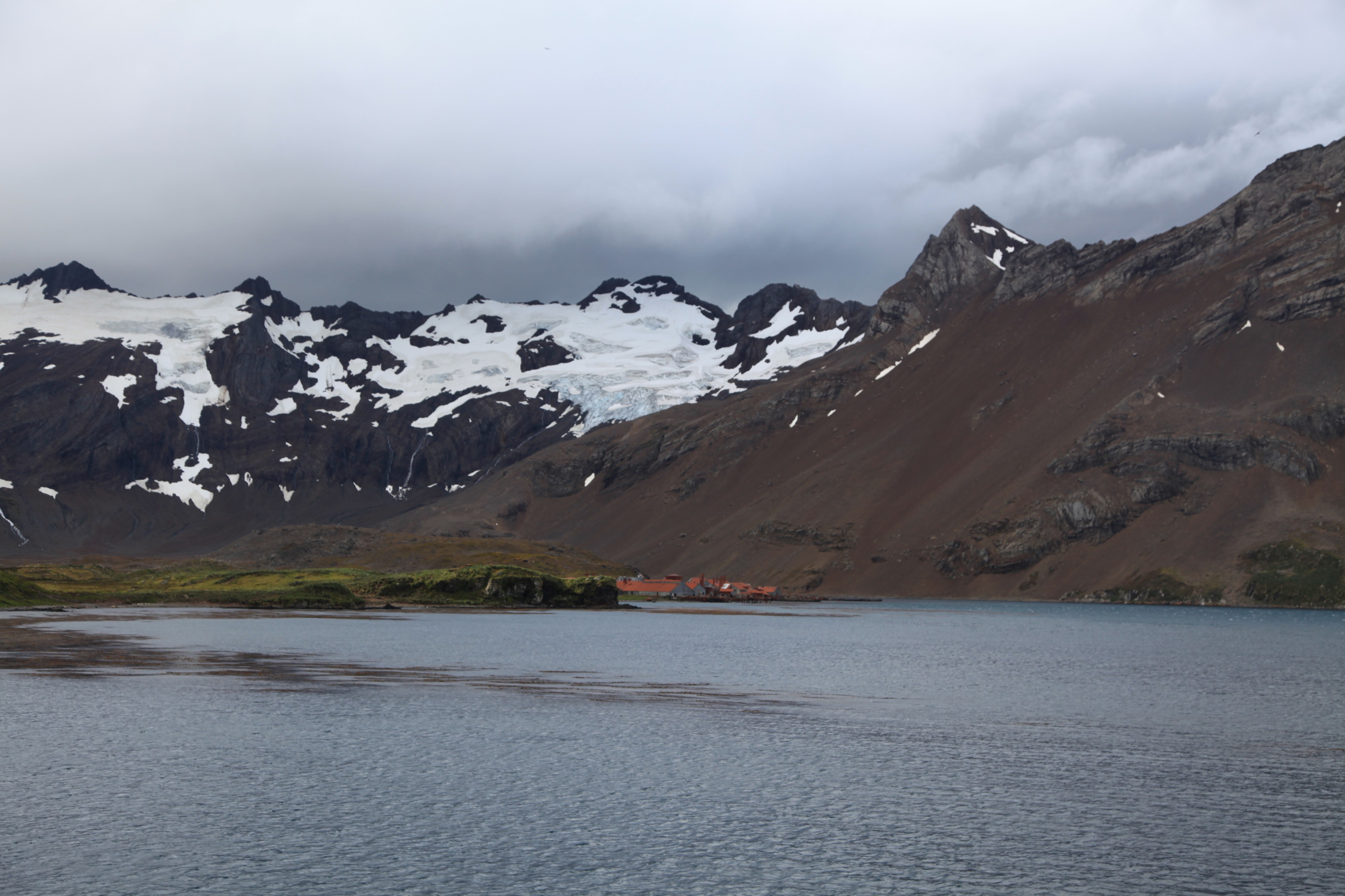 Leith Harbour Whaling Station (5717315707)