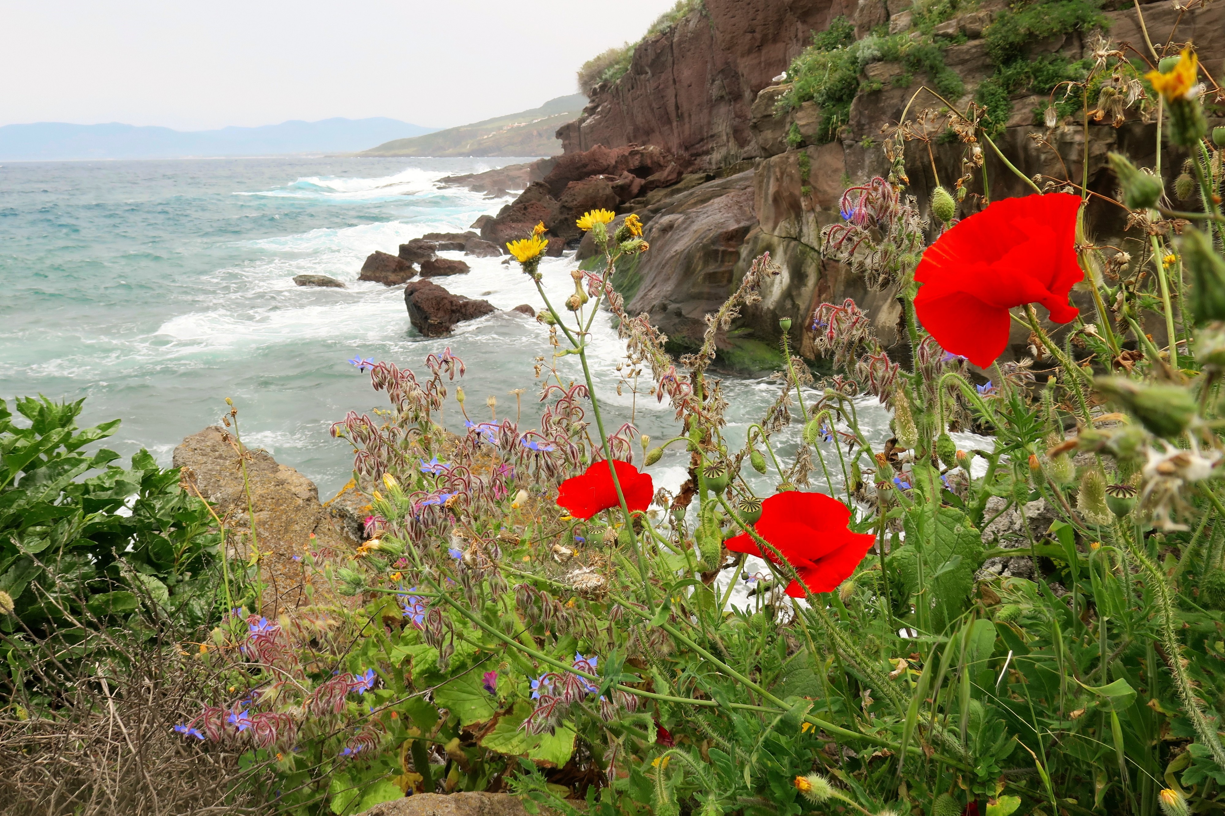 Sardengnan Coast (27472090891)