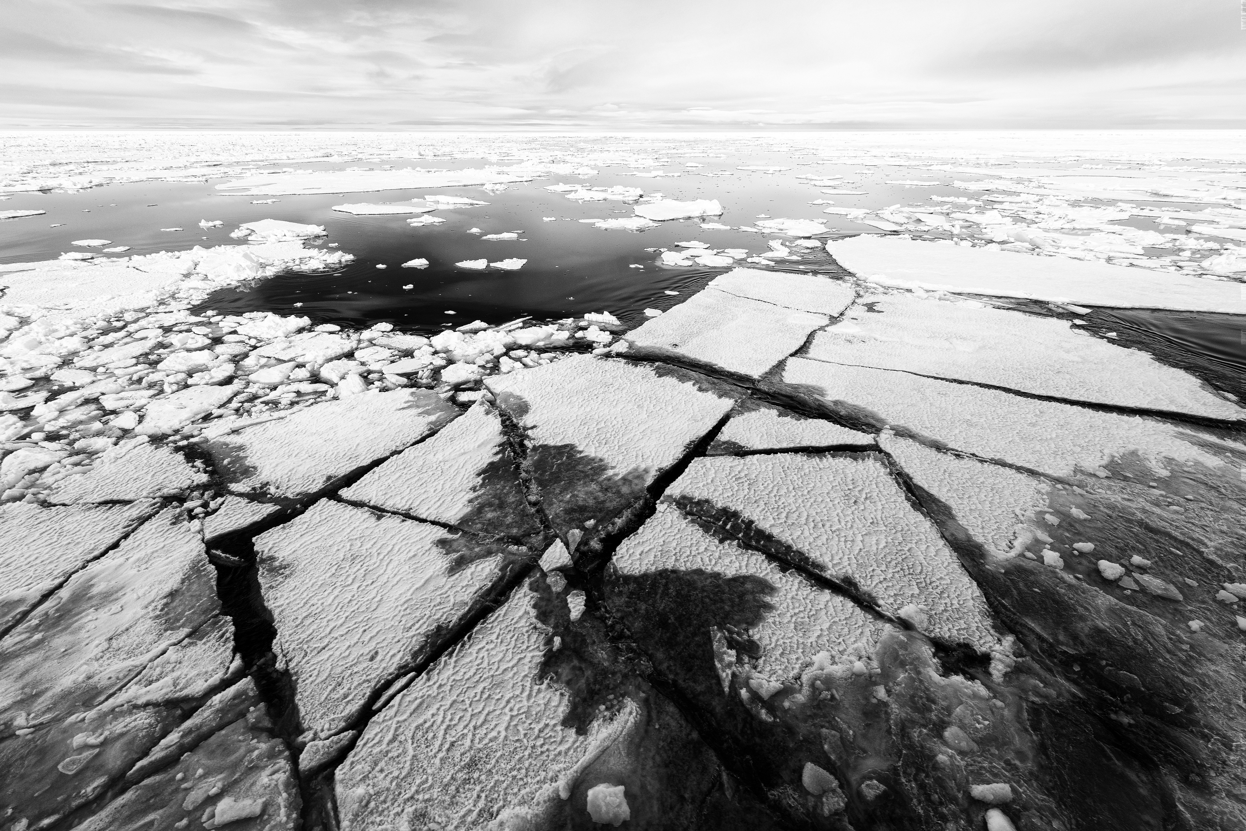 Sea Ice (19435520959)