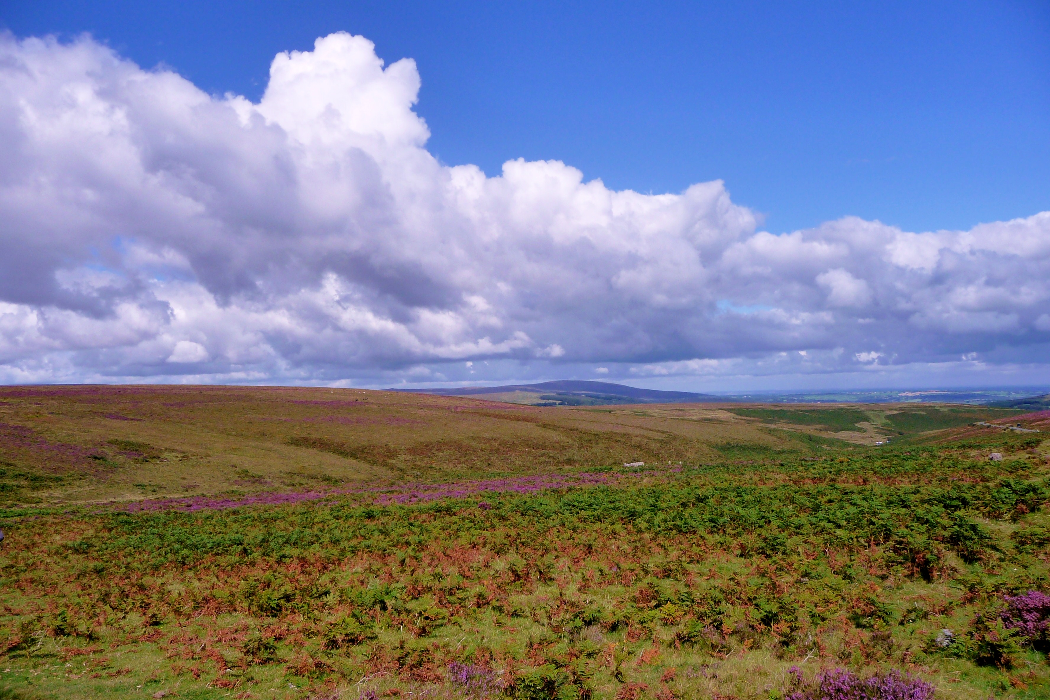 Clouds in Dartmoor (2)