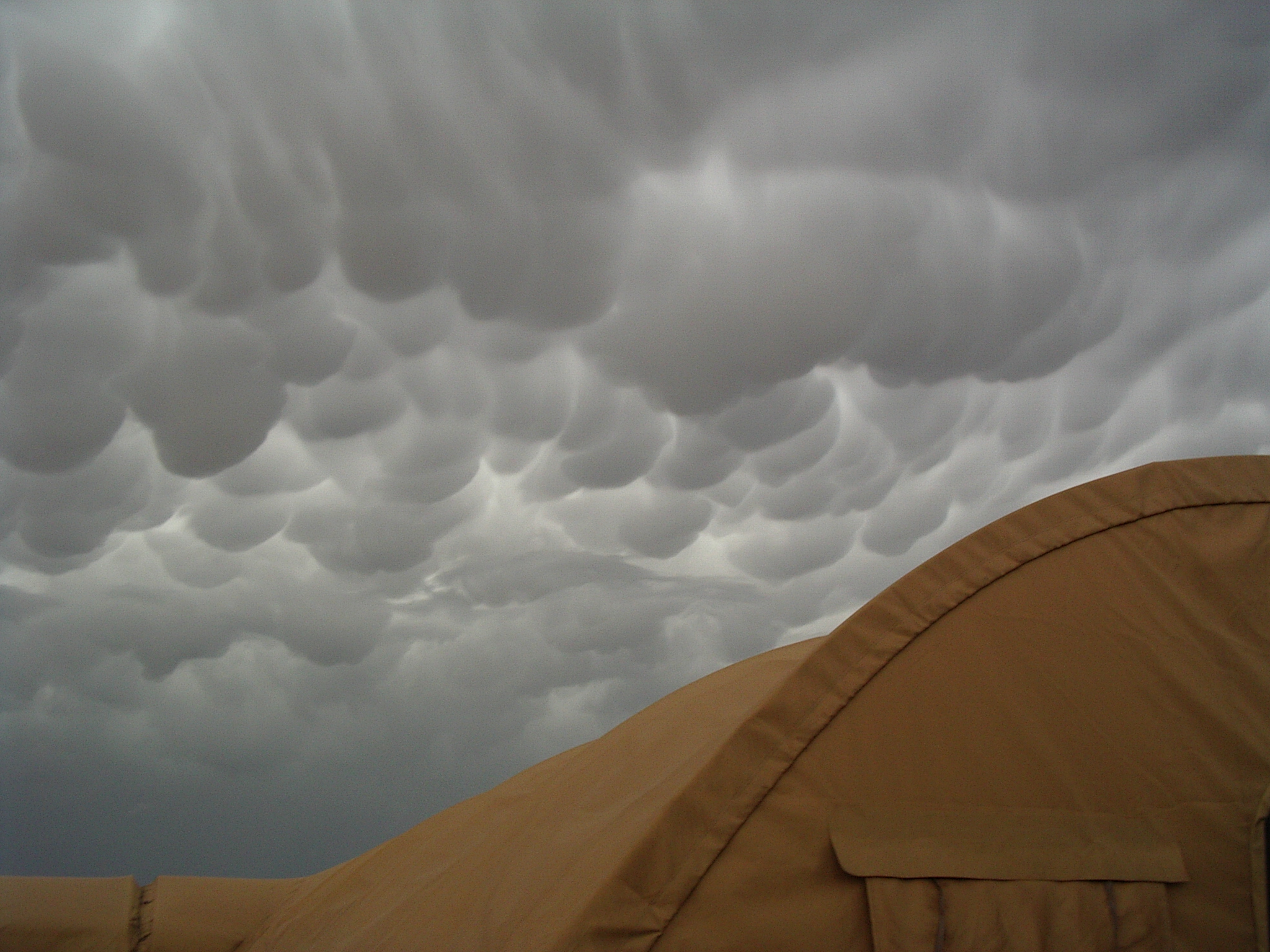Middleeastmamatus