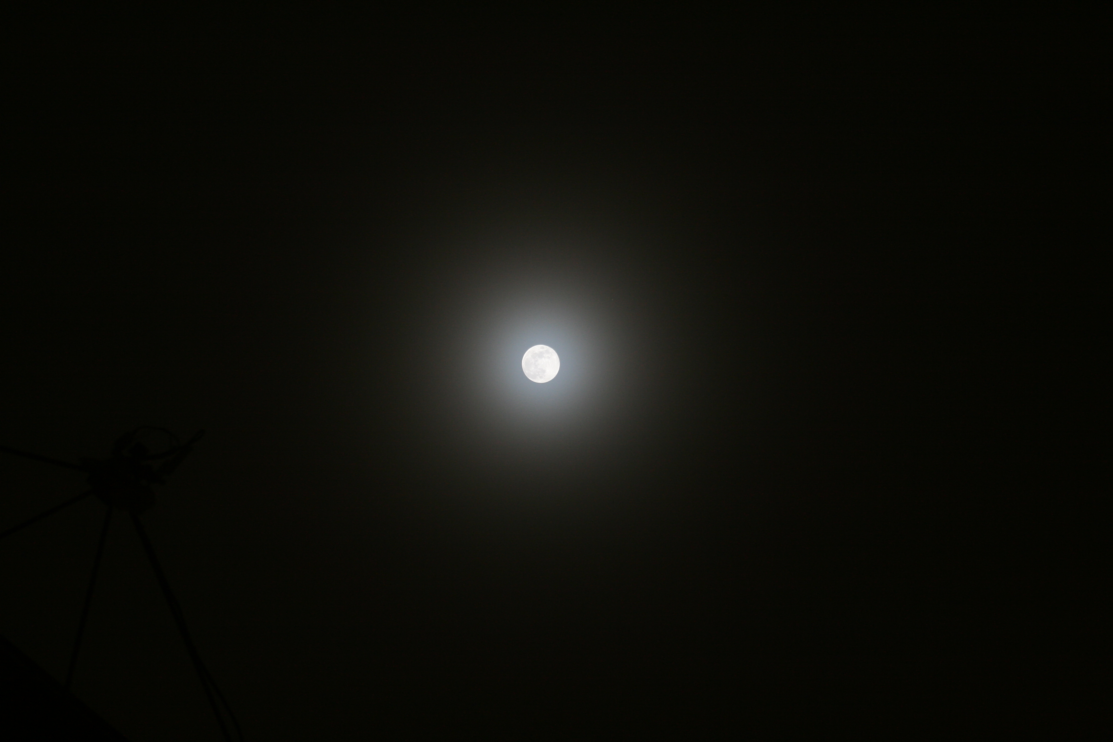 Moonfogmars