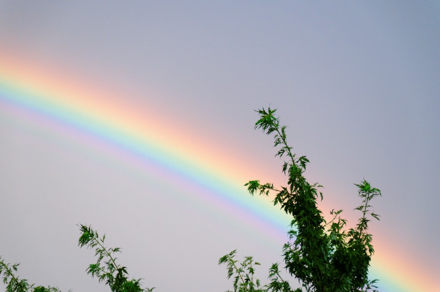 2014-08-03 20-47-12 arc-en-ciel-belfort