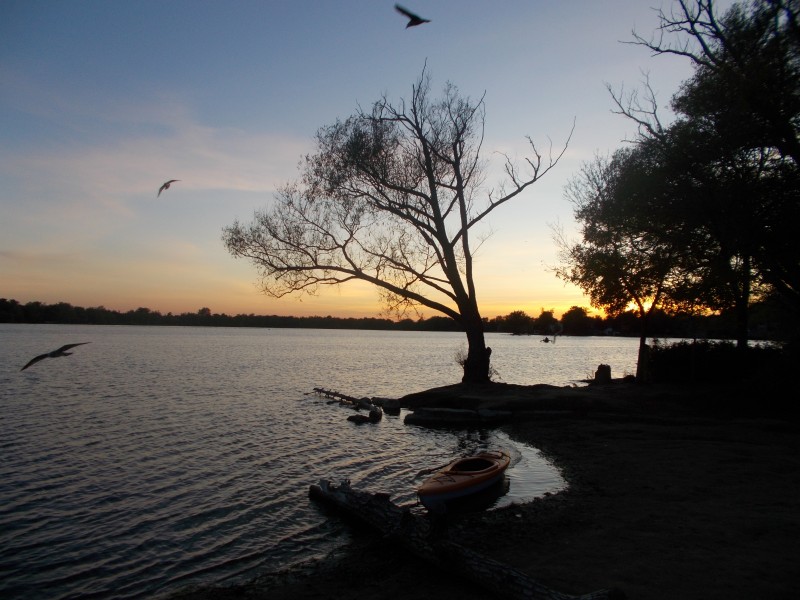 Birds at sundown
