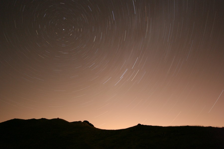 Celo stellato (un gioco con le stelle) (DC) - panoramio
