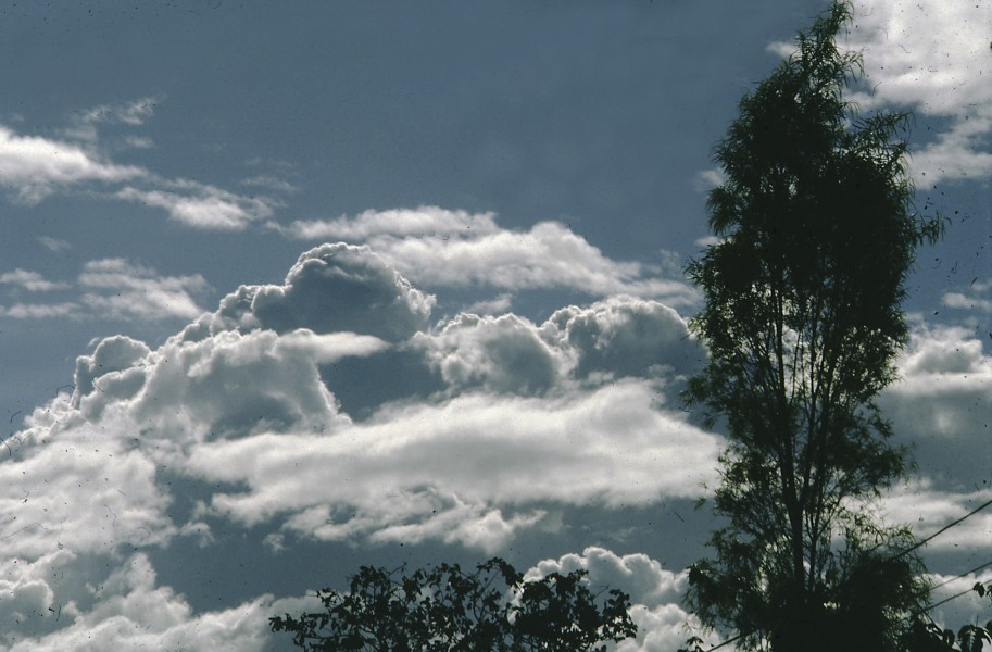 Ecuador-lose 007 tropical clouds, Tumbaco, January 1985