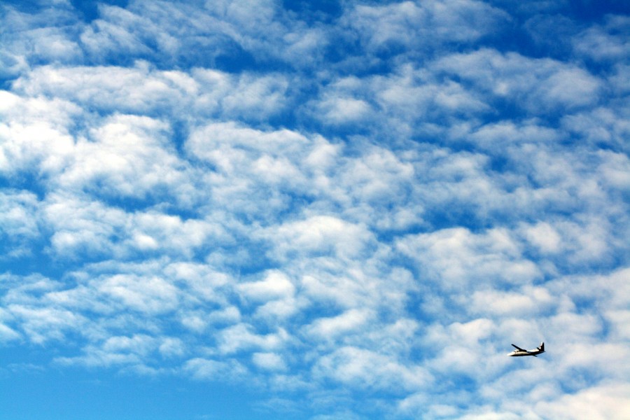 Flight is freedom (1598908934)