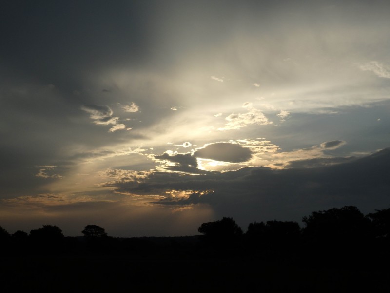 Kruger National Park (24045348722)