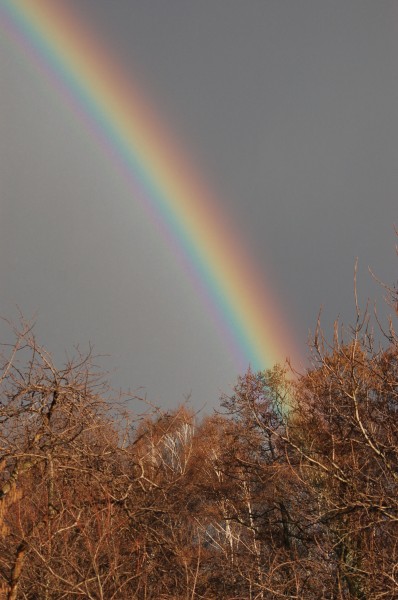 Rainbow 001
