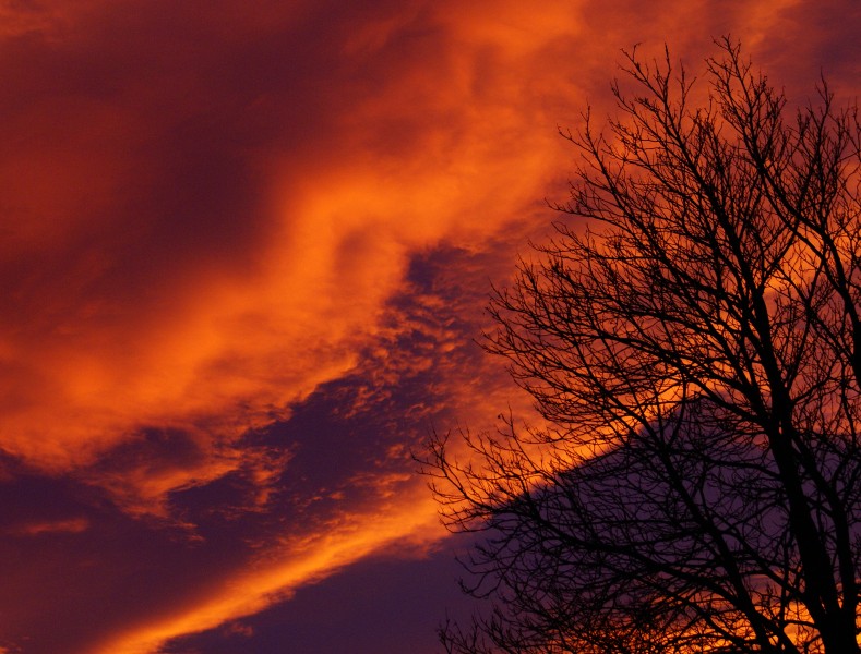 Red (3180322396)