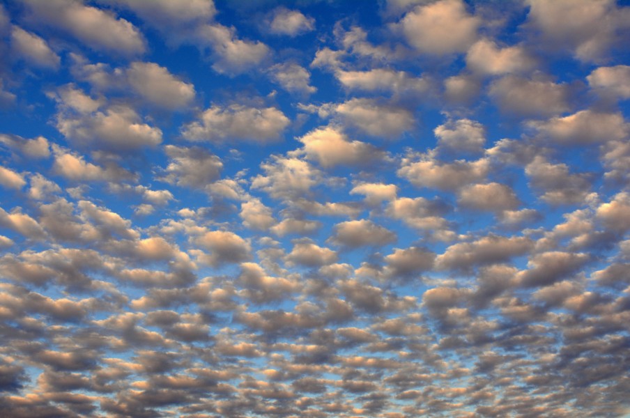 Sky (15073496355)